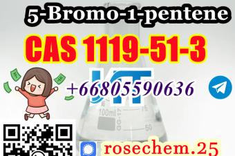 8615355326496 Supply 5Bromo1pentene CAS 1119513 Big Sale